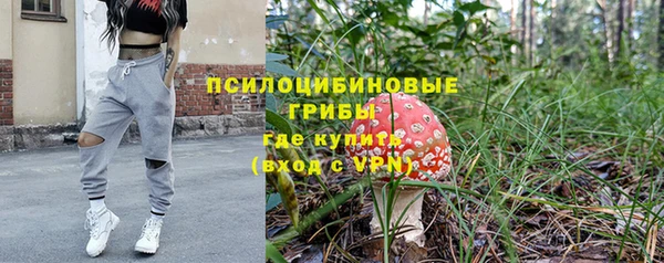 крисы Алзамай